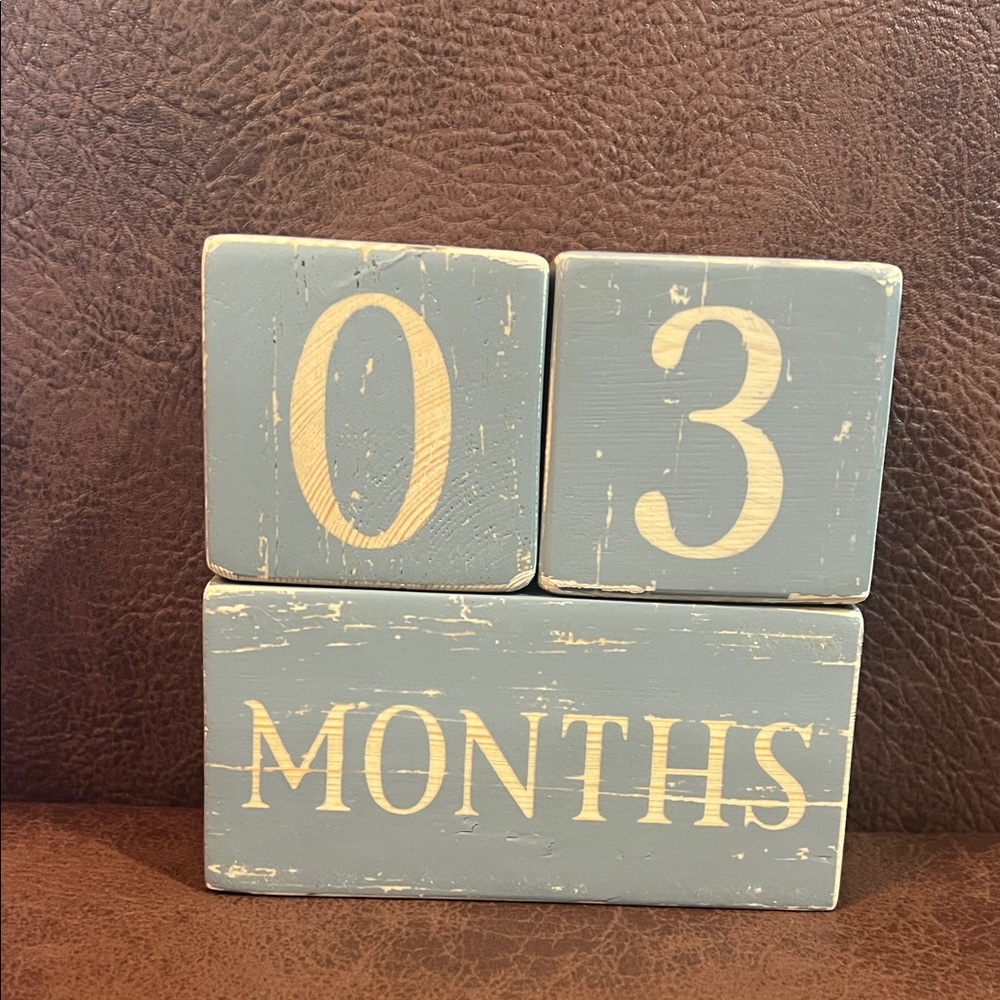 Baby milestone blocks